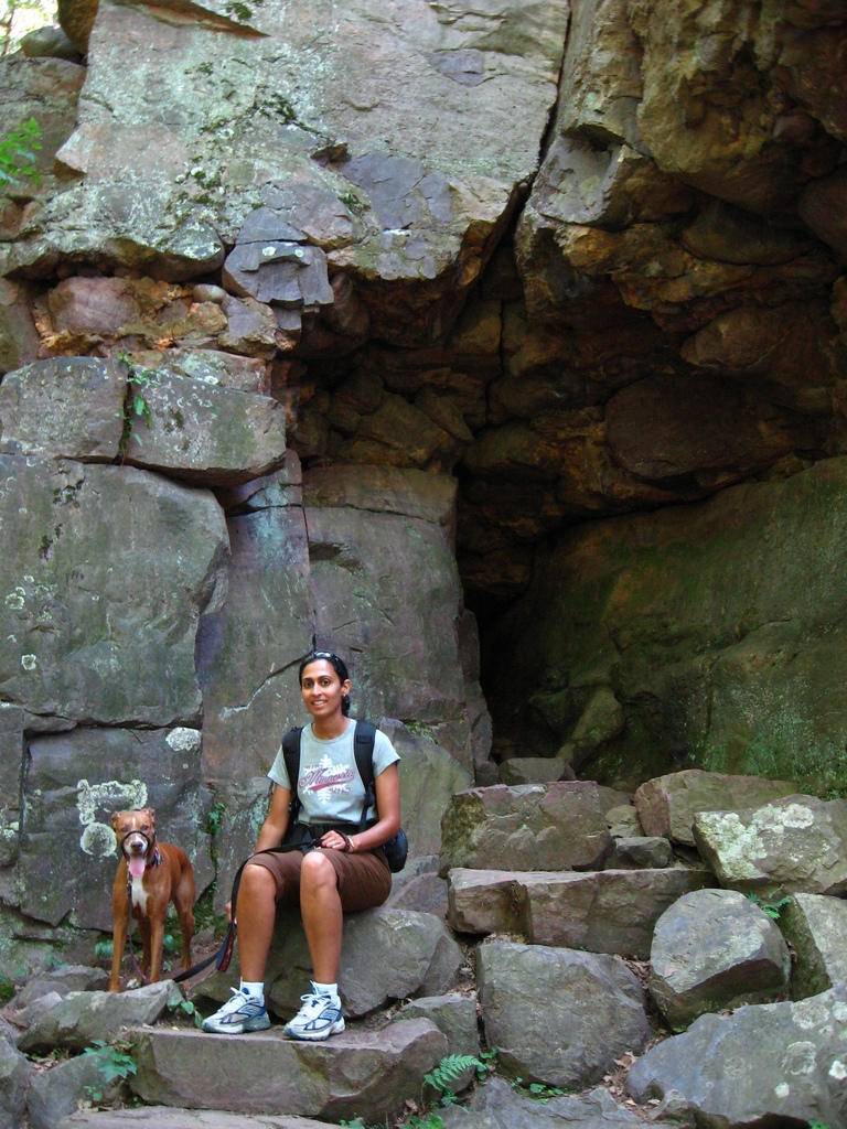 elephant rock
